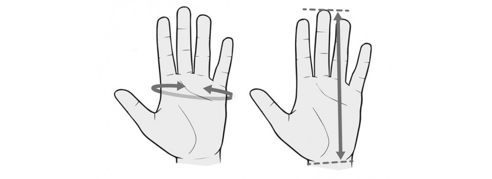 Какого размера ваши защитные перчатки?